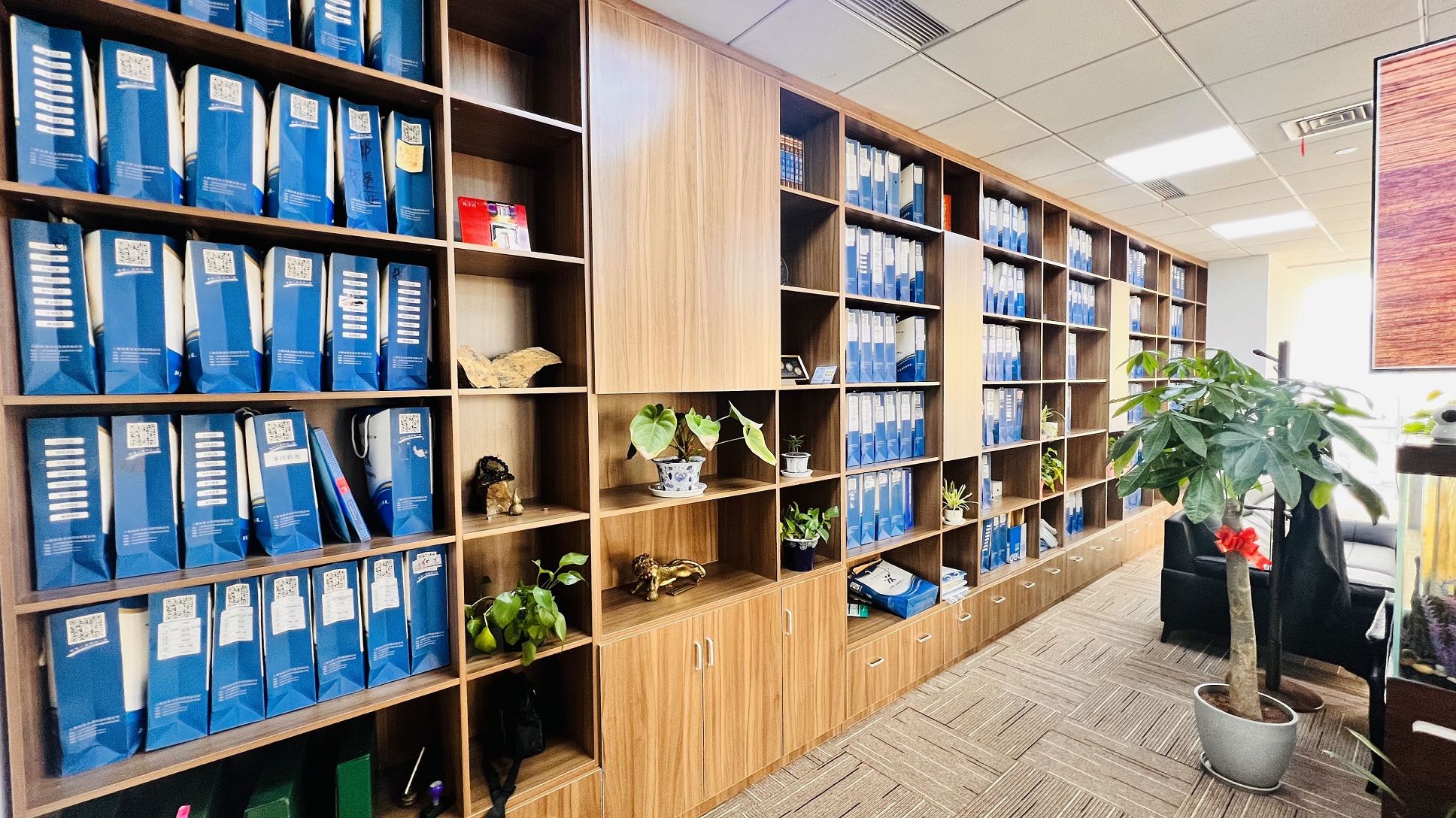 可变利益实体的风险与监管